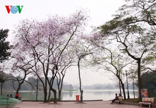 Le Nord-Ouest au sein de Hanoi - ảnh 1